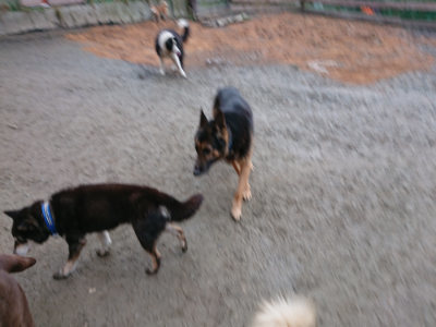 f:id:roukenhome-ann:20190222085020j:plain
