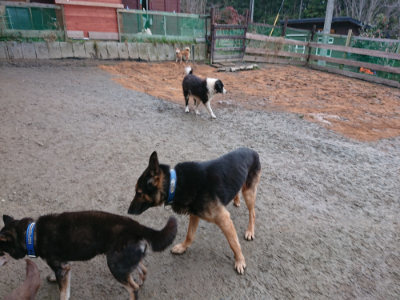f:id:roukenhome-ann:20190222085026j:plain