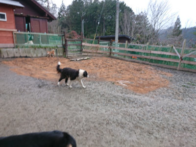 f:id:roukenhome-ann:20190222085032j:plain