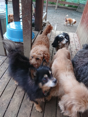 f:id:roukenhome-ann:20190222085037j:plain