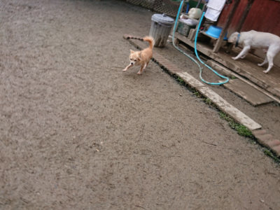 f:id:roukenhome-ann:20190222085049j:plain