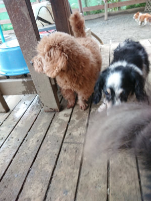 f:id:roukenhome-ann:20190222085105j:plain