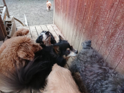f:id:roukenhome-ann:20190222085133j:plain