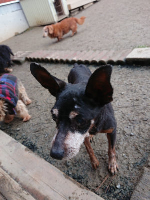 f:id:roukenhome-ann:20190222085336j:plain
