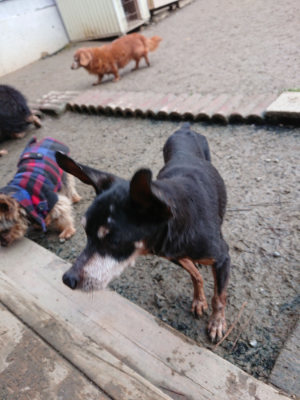 f:id:roukenhome-ann:20190222085417j:plain