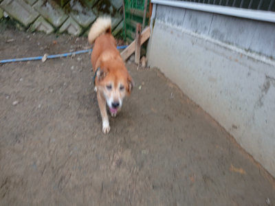 f:id:roukenhome-ann:20190222085428j:plain