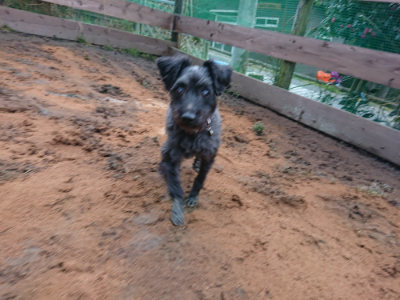 f:id:roukenhome-ann:20190222085434j:plain