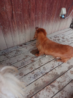 f:id:roukenhome-ann:20190222085445j:plain