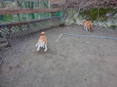 f:id:roukenhome-ann:20190222085507j:plain