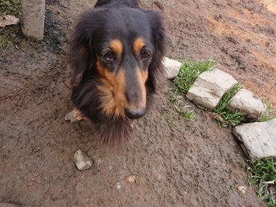 f:id:roukenhome-ann:20190223052901j:plain
