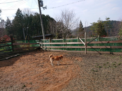 f:id:roukenhome-ann:20190223052934j:plain
