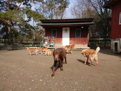 f:id:roukenhome-ann:20190223052941j:plain