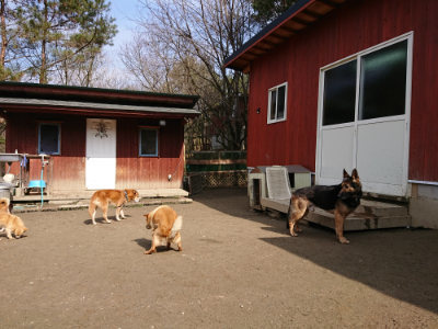 f:id:roukenhome-ann:20190223052946j:plain