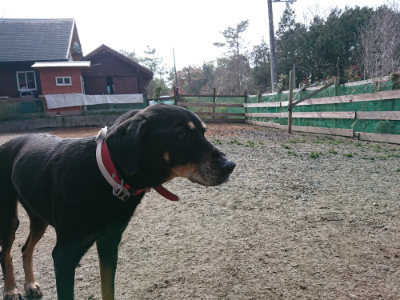 f:id:roukenhome-ann:20190223052952j:plain