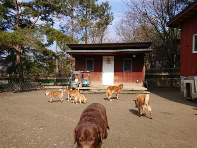 f:id:roukenhome-ann:20190223052958j:plain