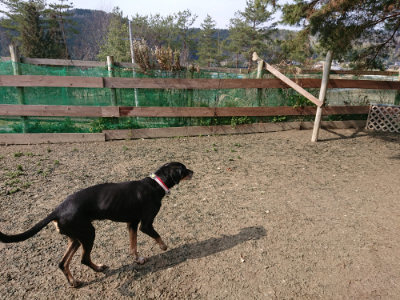 f:id:roukenhome-ann:20190223053012j:plain