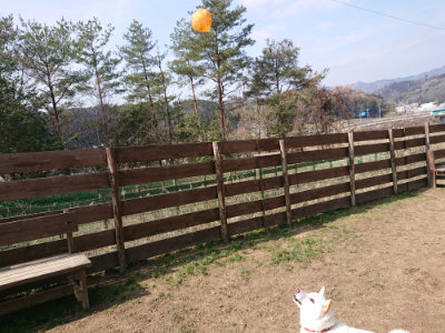 f:id:roukenhome-ann:20190223053038j:plain