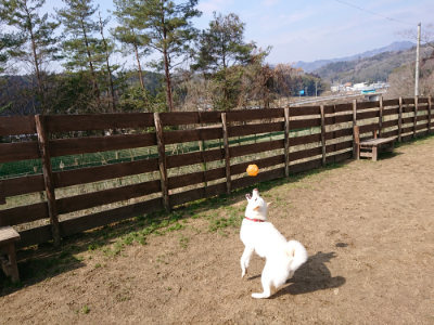 f:id:roukenhome-ann:20190223053045j:plain