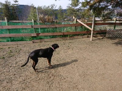 f:id:roukenhome-ann:20190223053051j:plain