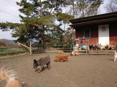 f:id:roukenhome-ann:20190223053122j:plain