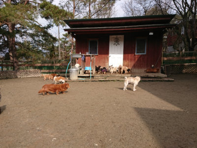 f:id:roukenhome-ann:20190223053130j:plain