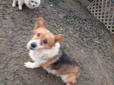 f:id:roukenhome-ann:20190223053136j:plain