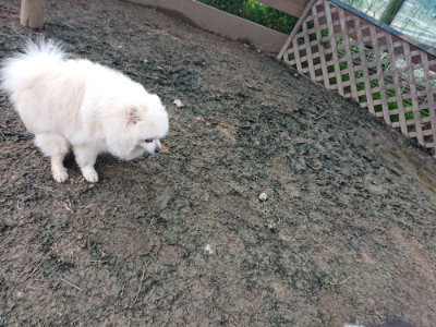 f:id:roukenhome-ann:20190223053142j:plain