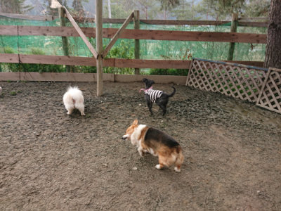 f:id:roukenhome-ann:20190223053218j:plain