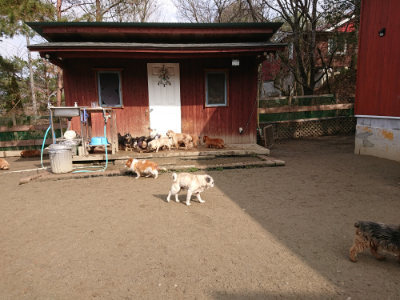 f:id:roukenhome-ann:20190223053224j:plain