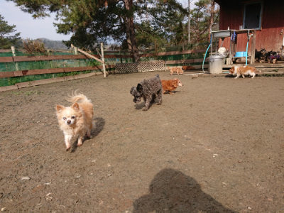 f:id:roukenhome-ann:20190223053230j:plain