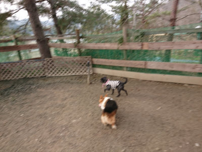 f:id:roukenhome-ann:20190223053326j:plain