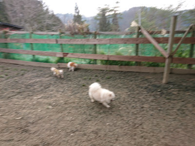 f:id:roukenhome-ann:20190223053331j:plain