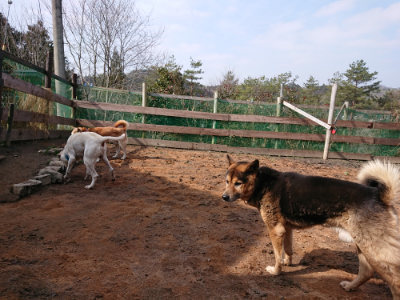 f:id:roukenhome-ann:20190223053344j:plain