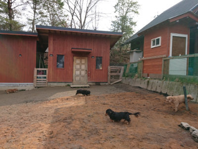 f:id:roukenhome-ann:20190223053417j:plain