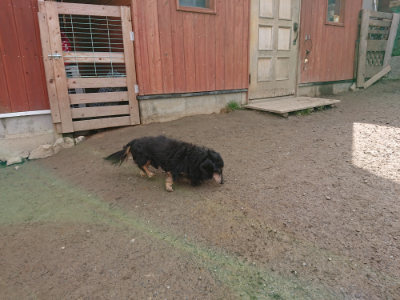 f:id:roukenhome-ann:20190223053435j:plain