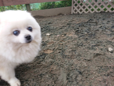 f:id:roukenhome-ann:20190223053457j:plain