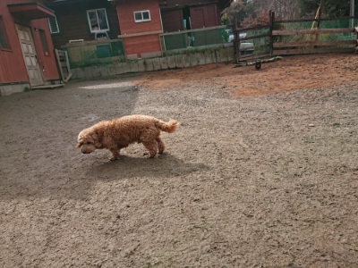 f:id:roukenhome-ann:20190223064134j:plain