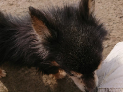 f:id:roukenhome-ann:20190223064151j:plain
