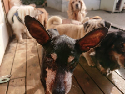 f:id:roukenhome-ann:20190223064302j:plain