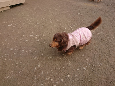 f:id:roukenhome-ann:20190223064339j:plain