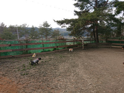 f:id:roukenhome-ann:20190223064344j:plain
