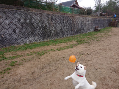 f:id:roukenhome-ann:20190223064349j:plain