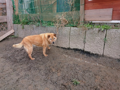 f:id:roukenhome-ann:20190223071637j:plain