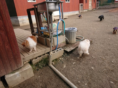 f:id:roukenhome-ann:20190223071644j:plain