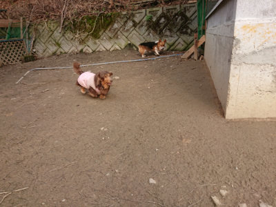 f:id:roukenhome-ann:20190223071648j:plain
