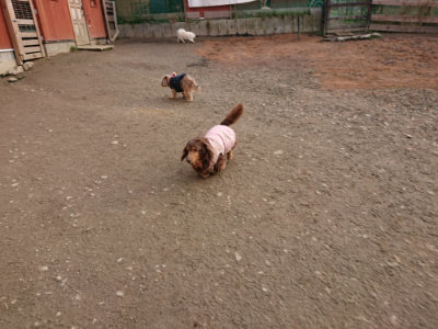 f:id:roukenhome-ann:20190223071653j:plain