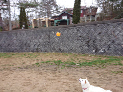 f:id:roukenhome-ann:20190223071704j:plain