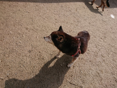 f:id:roukenhome-ann:20190223071744j:plain