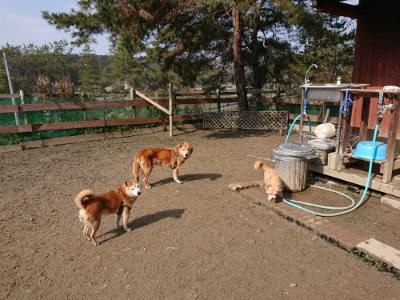 f:id:roukenhome-ann:20190223071754j:plain