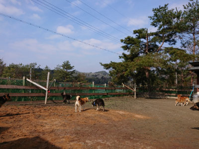 f:id:roukenhome-ann:20190223071805j:plain